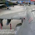 harrier_0106.jpg