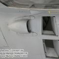 harrier_0114.jpg