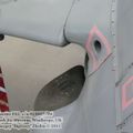 harrier_0119.jpg