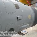 harrier_0126.jpg