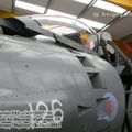 harrier_0128.jpg