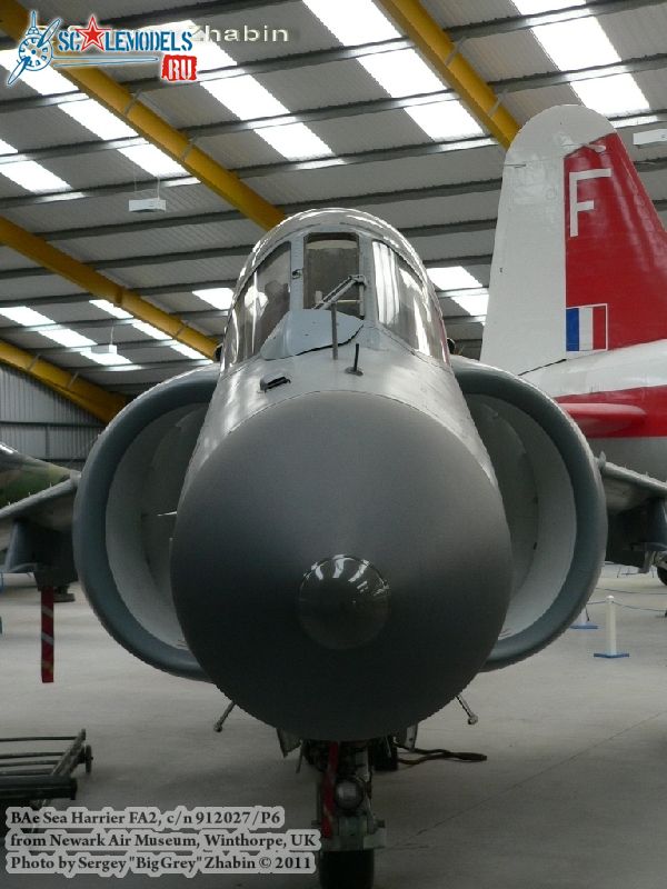 harrier_0004.jpg