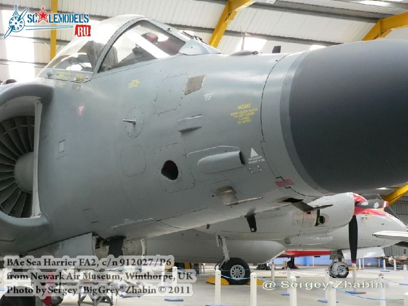 harrier_0006.jpg