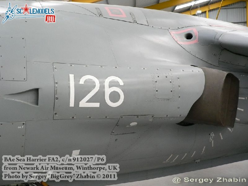 harrier_0011.jpg