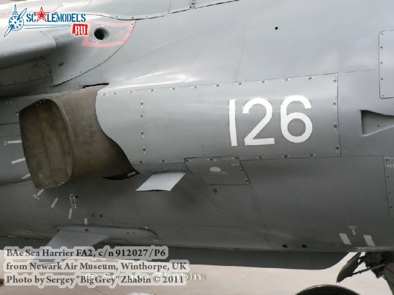 harrier_0013.jpg