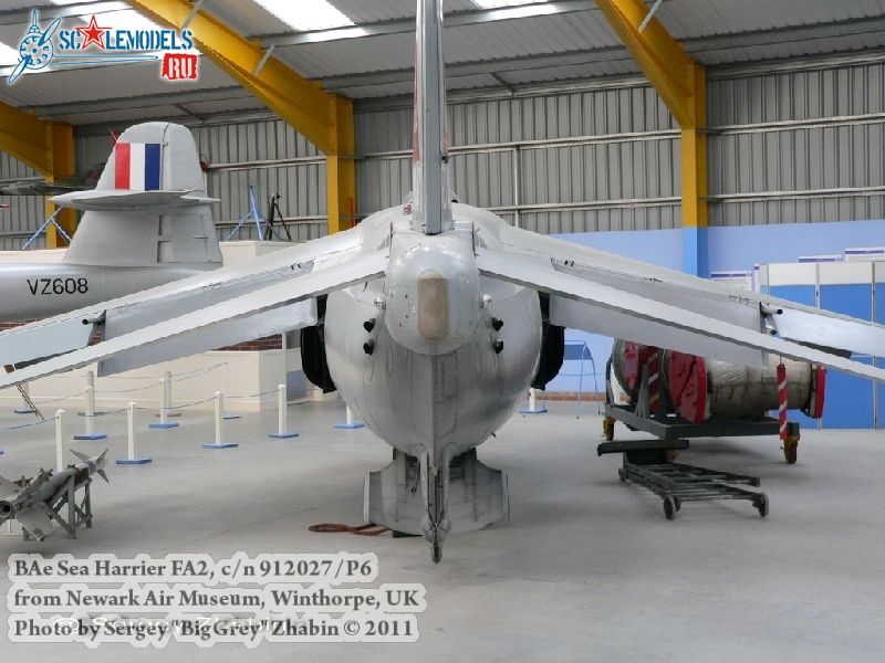 harrier_0024.jpg