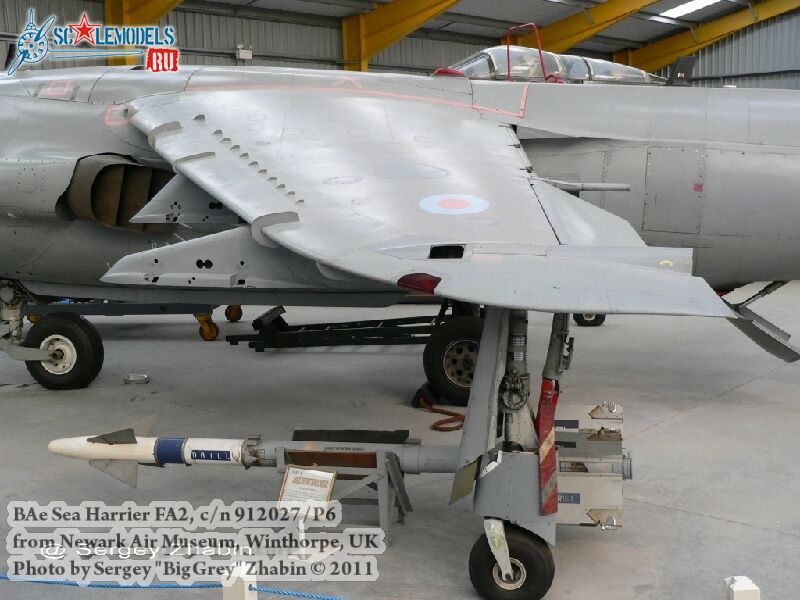 harrier_0026.jpg