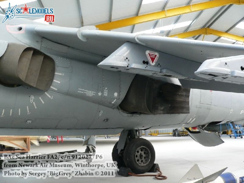 harrier_0030.jpg