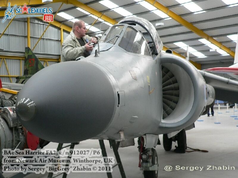 harrier_0040.jpg