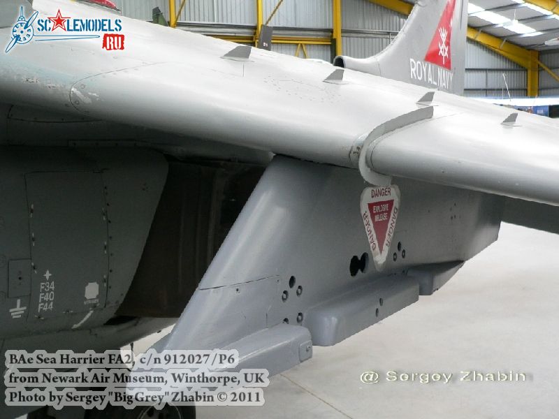 harrier_0045.jpg