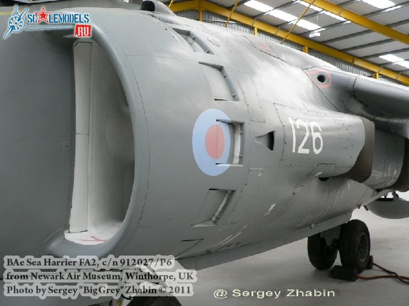 harrier_0085.jpg