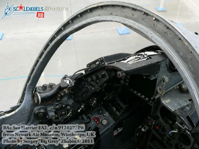 harrier_0108.jpg