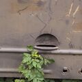 2P27 by Kamil Andu?a_34.jpg