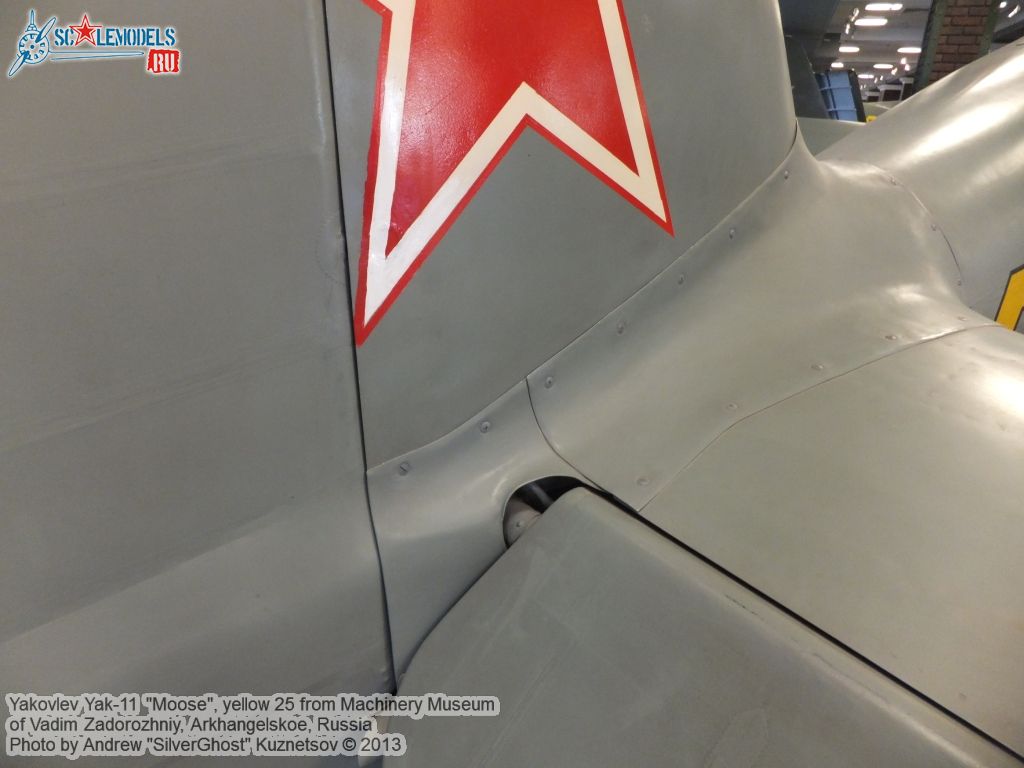 Yak-11_Moose_0122.jpg