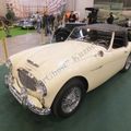 Austin-Healey 3000, Олдтаймер-Галерея 2013, Крокус-Экспо, Москва, Россия