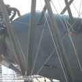 Po-2_Mule_0026.jpg