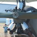 Po-2_Mule_0049.jpg