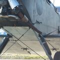 Po-2_Mule_0057.jpg