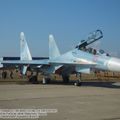 Su-30M2_Flanker-C_0087.jpg