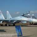 Su-30M2_Flanker-C_0110.jpg