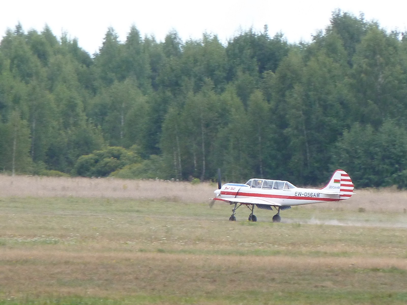 P1140350.JPG
