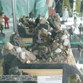 club-tm_btt_0215.jpg