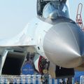 Su-35S_Flanker-E_0080.jpg