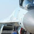 Su-35S_Flanker-E_0081.jpg