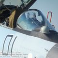 Su-35S_Flanker-E_0098.jpg