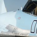 Su-35S_Flanker-E_0100.jpg