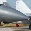 Su-35S_Flanker-E_0119.jpg