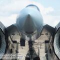 Su-35S_Flanker-E_0204.jpg