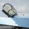 Su-35S_Flanker-E_0223.jpg