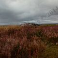 IMG_20130824_160405.jpg