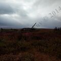 IMG_20130824_162534.jpg