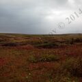 IMG_20130824_164207.jpg
