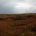 IMG_20130824_164208.jpg