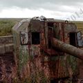 IMG_20130824_173024.jpg