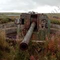 IMG_20130824_173032.jpg