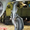 Yak-23_Flora_0085.jpg