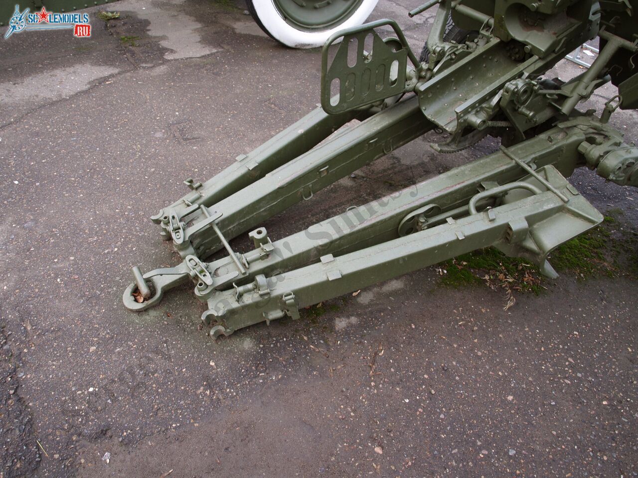 PB100156.JPG