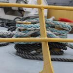 IMG_1302