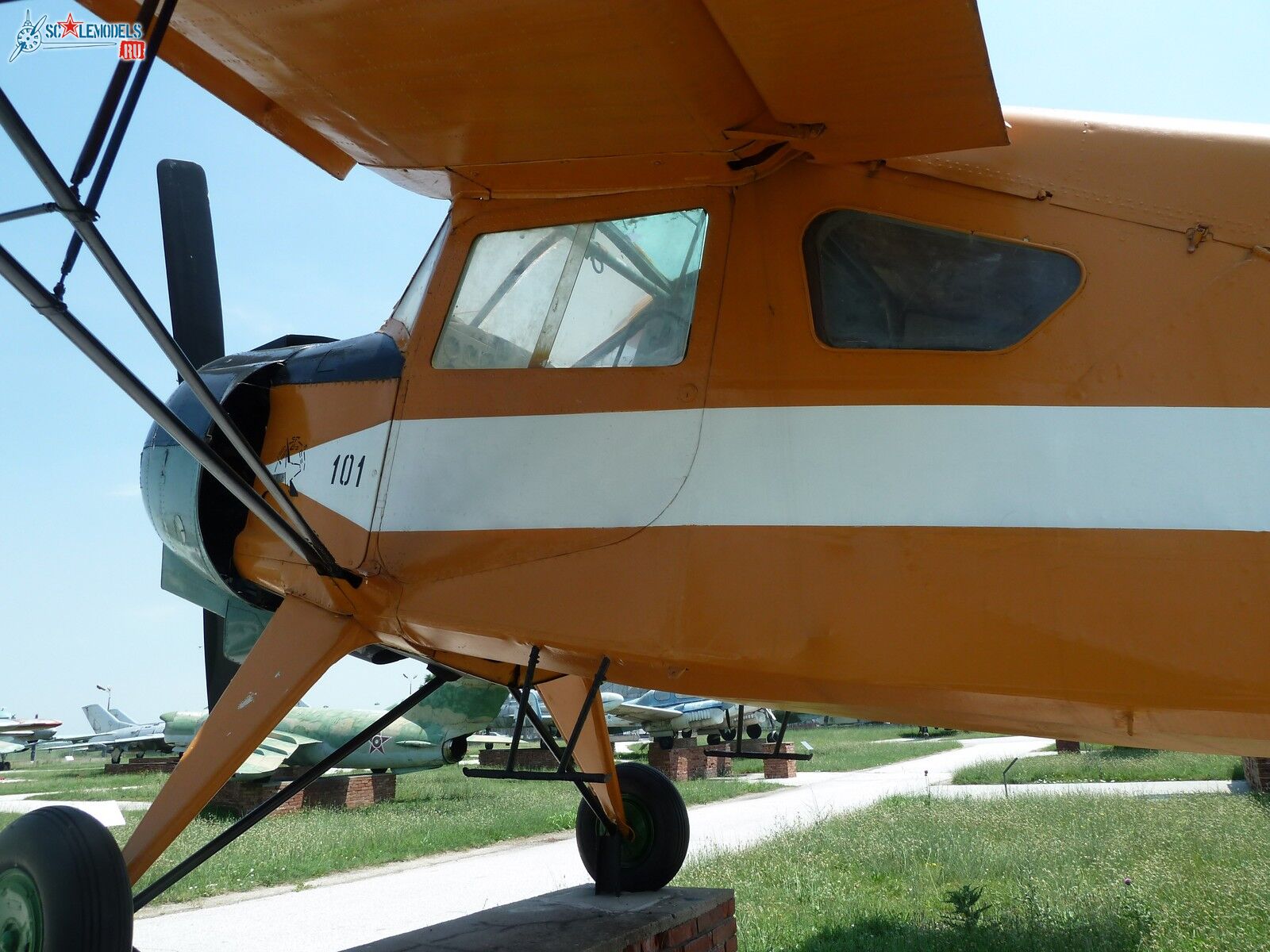 P1100007.JPG