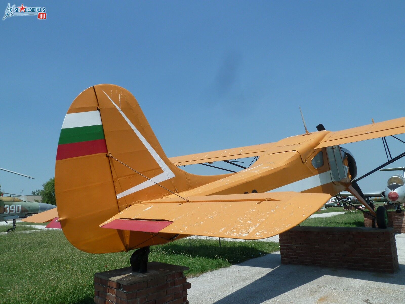 P1100002.JPG