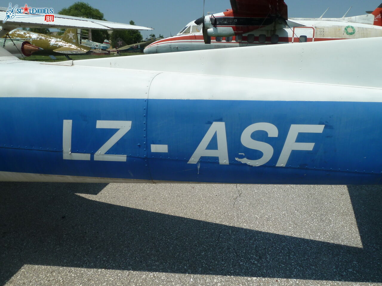P1090750.JPG