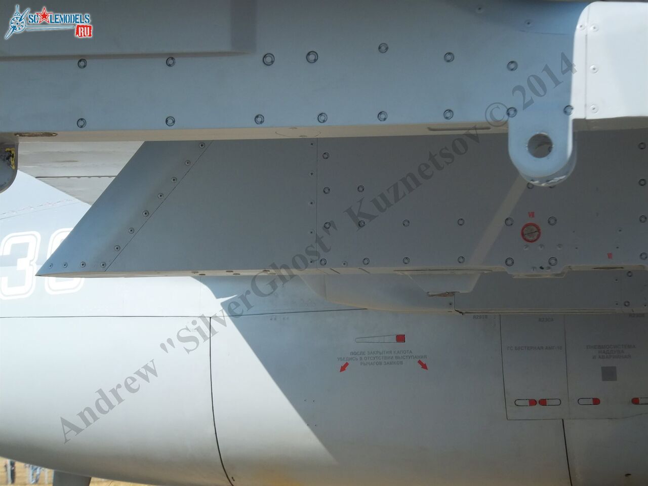 DSCF3953.JPG