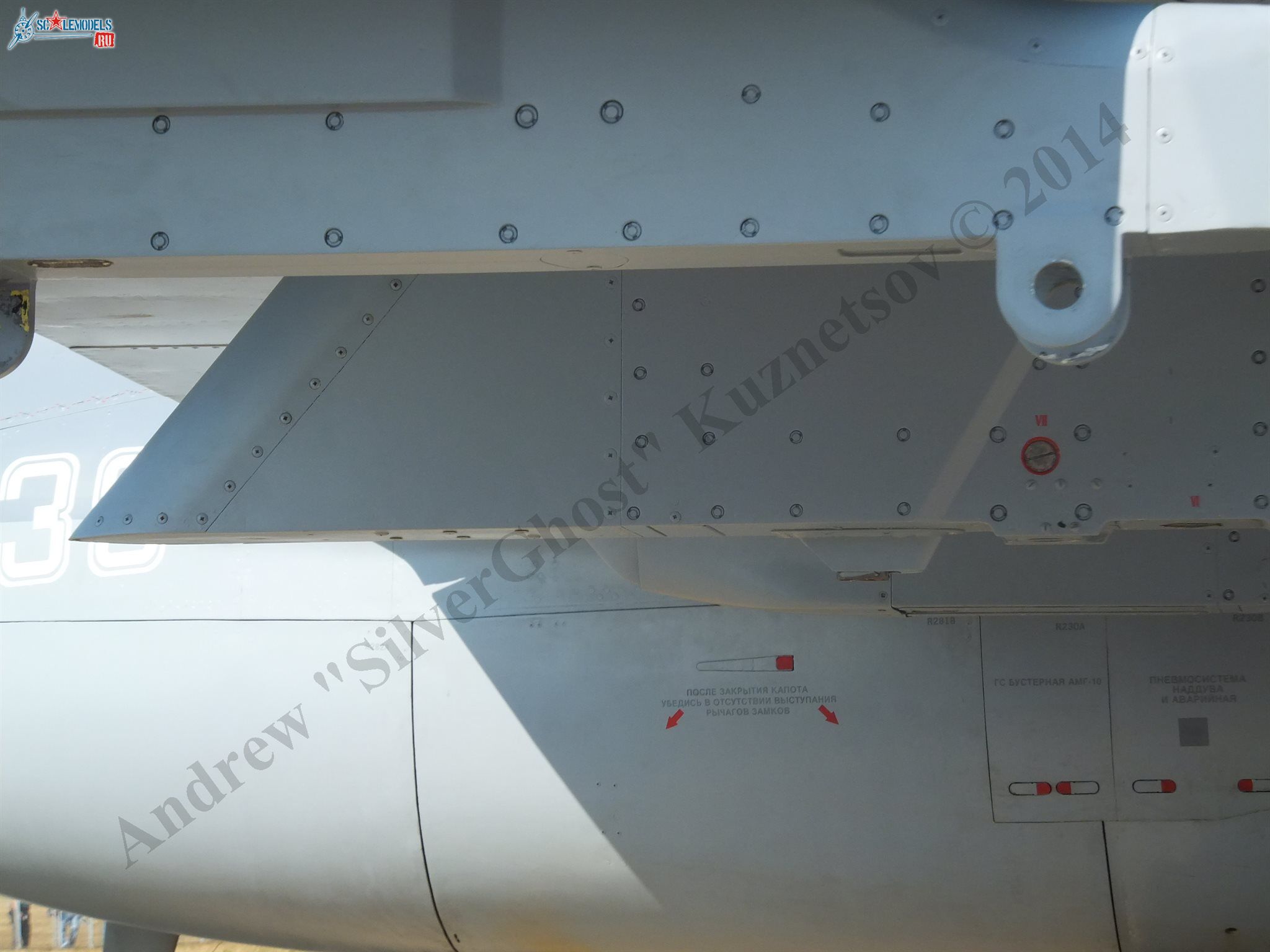 DSCF3953.JPG