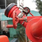 IMG_2810