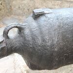IMG_6235