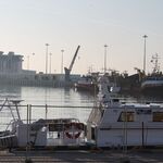 IMG_2110